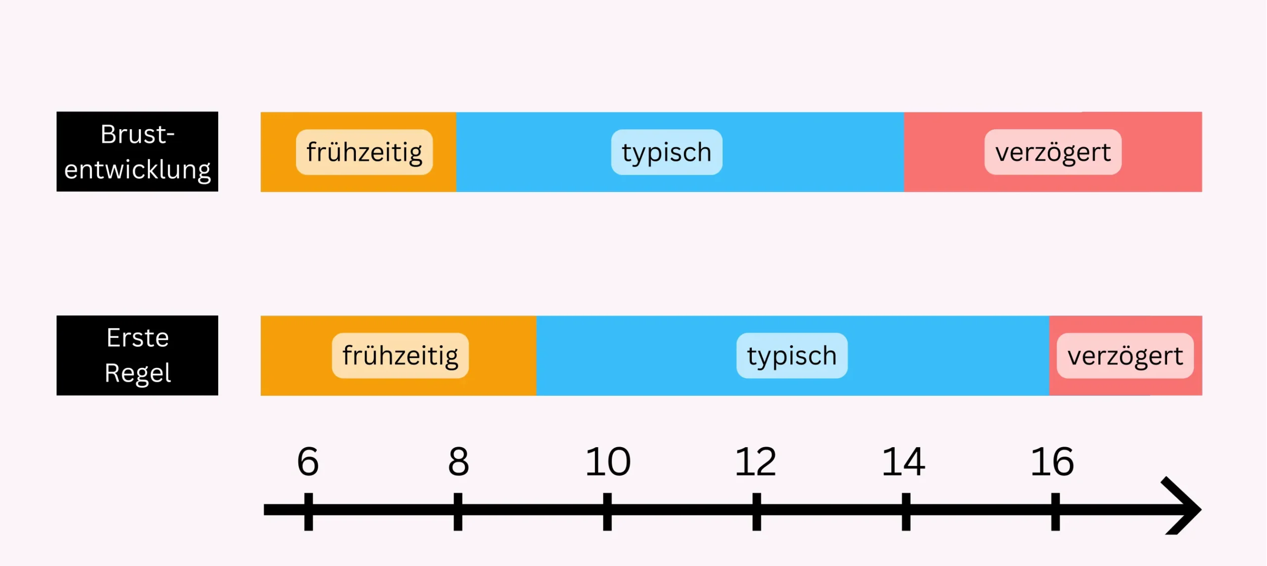 Pubertät bei Mädchen Das Bild beschreibt, wann man äußerlich feststellen kann, ab wann frühzeitige, typische oder verzögerte Pubertät bei Mädchen vorliegt. Brustenwticklung: frühzeitig bis 8 Jahre, typisch von 8 bis 14 Jahre, verzögert ab 14 Jahre; Erste Regel: frühzeitig bis 9 Jahre, typisch von 9 bis 16 Jahre; verzögert ab 16 Jahre