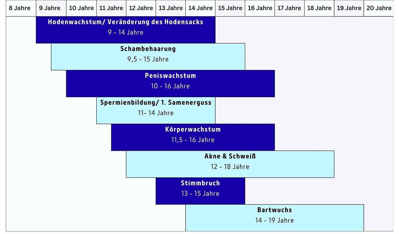Pubertät bei Jungen Eine Tabelle die die Entwicklungsschritte der Pubertät bei Jungen darstellt: Hodenwachstum von 9-14 Jahre; Schambehaarung von 9,5-15 Jahre; Peniswachstum von 10-16 Jahre; Spermienbildung von 11-14 Jahre; Körperwachstum von 11,5-16 Jahre; Akne & Schweiß von 12-18 Jahre; Stimmbruch von 13-15 Jahre; Bartwuchs von 14-19 Jahre