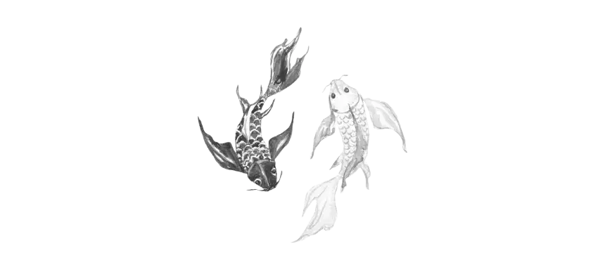 Yin-und-Yang Fische Yin und Yang Zeichen als Fische